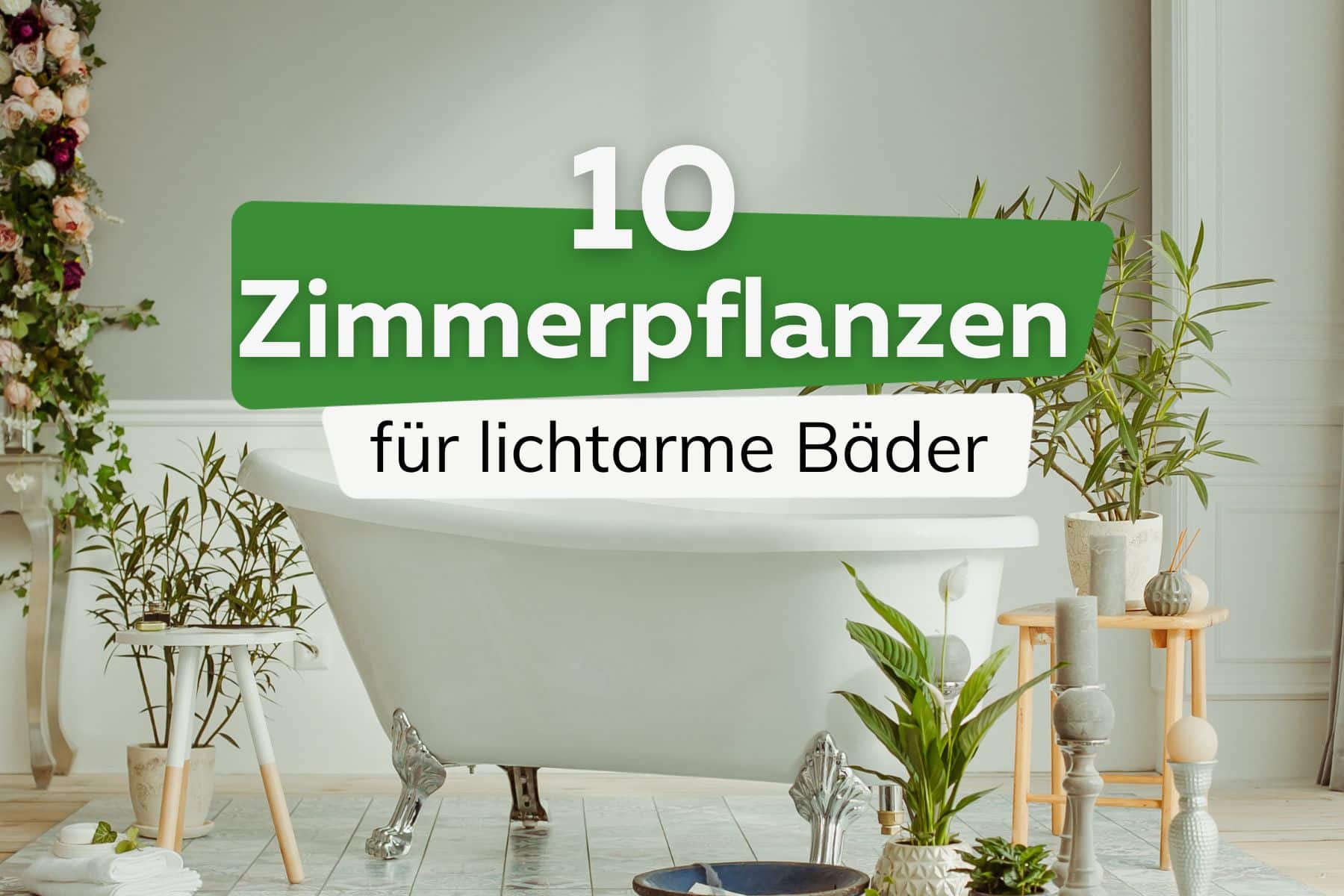 10 plantas con poca luz para el baño sin ventana