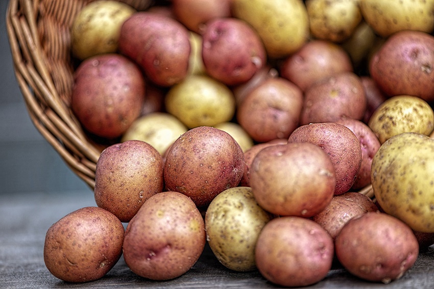 Los tipos de patatas más populares y sus propiedades en la cocina.