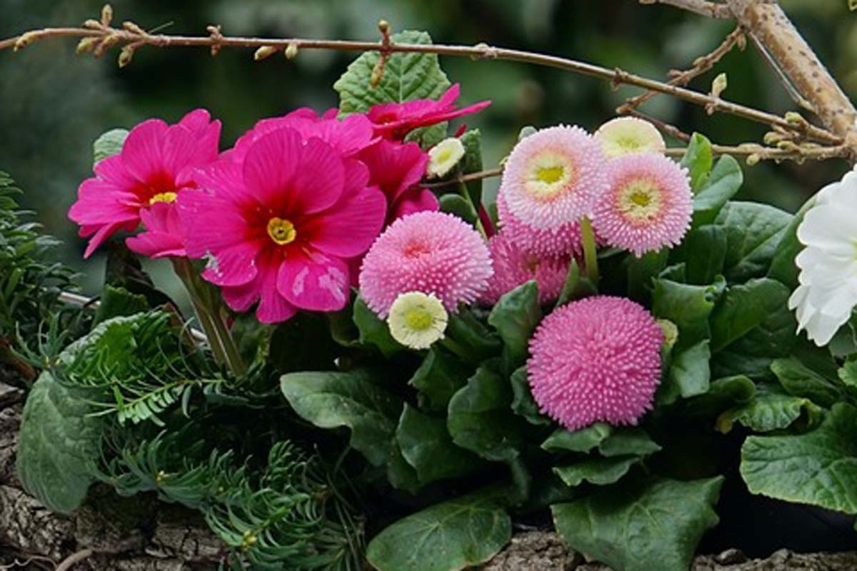 8 ideas para plantar jardineras de balcón en primavera