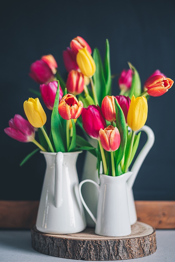 Esto significa que los tulipanes se mantienen frescos por más tiempo.