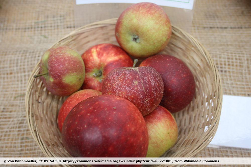10 variedades de manzanas ácidas | Manzanas con mucho ácido