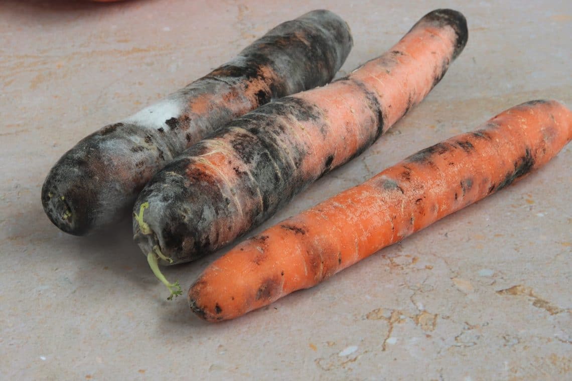Manchas negras en las zanahorias: ¿todavía son comestibles?