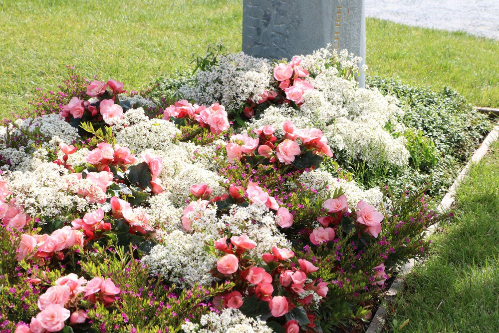 Plantación de tumbas en verano: ejemplos para todos los lugares y tipos de tumbas