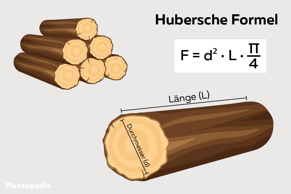 Calcular metros cúbicos de madera – fórmula con gráficos