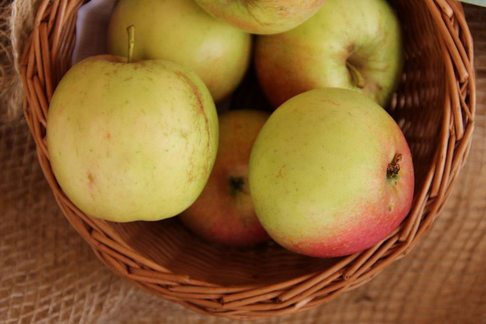 15 variedades de manzanas dulces | Manzanas con mucho dulzor