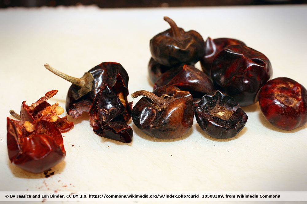 Tipos de chile: 46 variedades de pimientos picantes e interesantes con una imagen