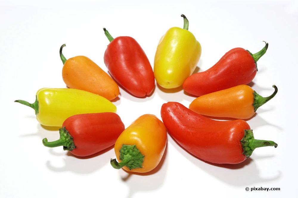 Tipos de chile: 46 variedades de pimientos picantes e interesantes con una imagen