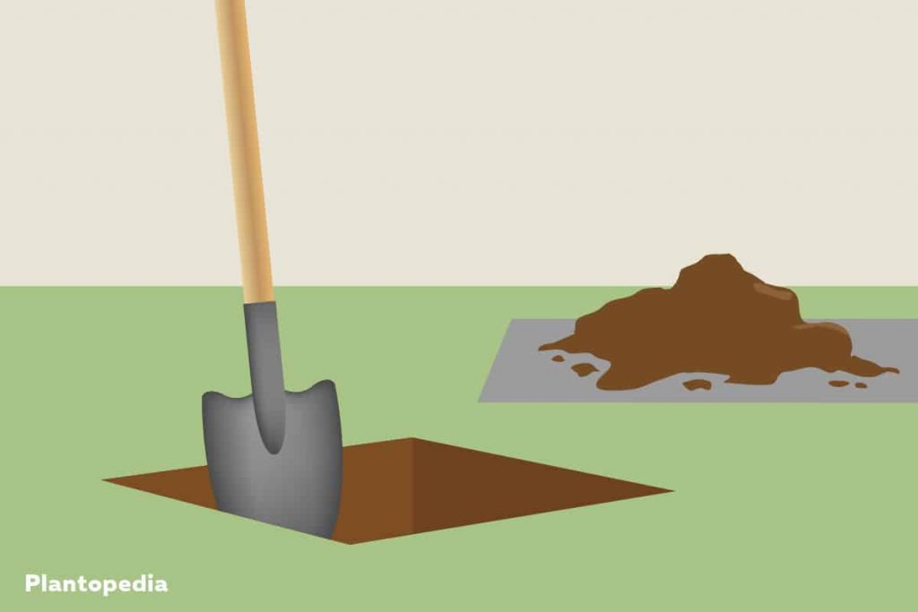 Concretar los enchufes del suelo: Instrucciones en 4 pasos