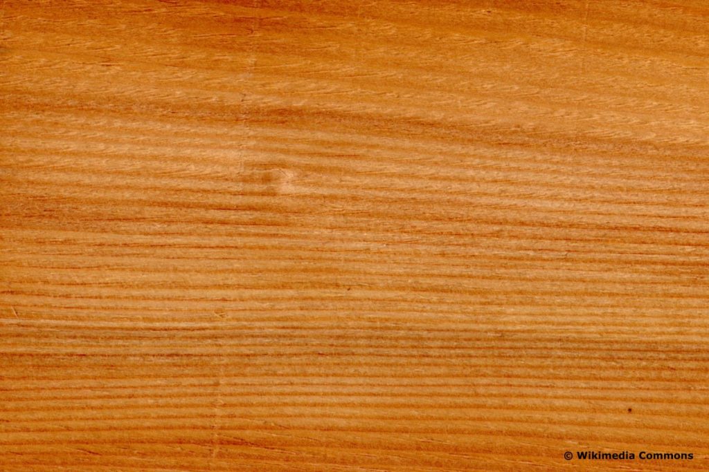 Descripción general de 26 tipos de madera | Reconocer tipos de madera.