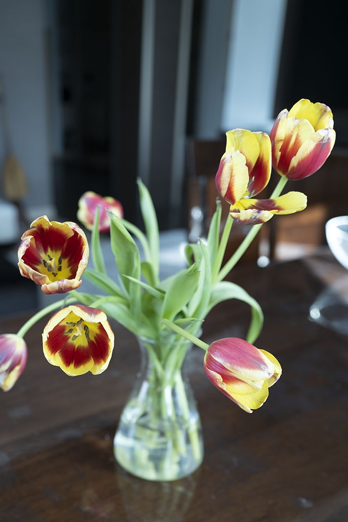 Esto significa que los tulipanes se mantienen frescos por más tiempo.