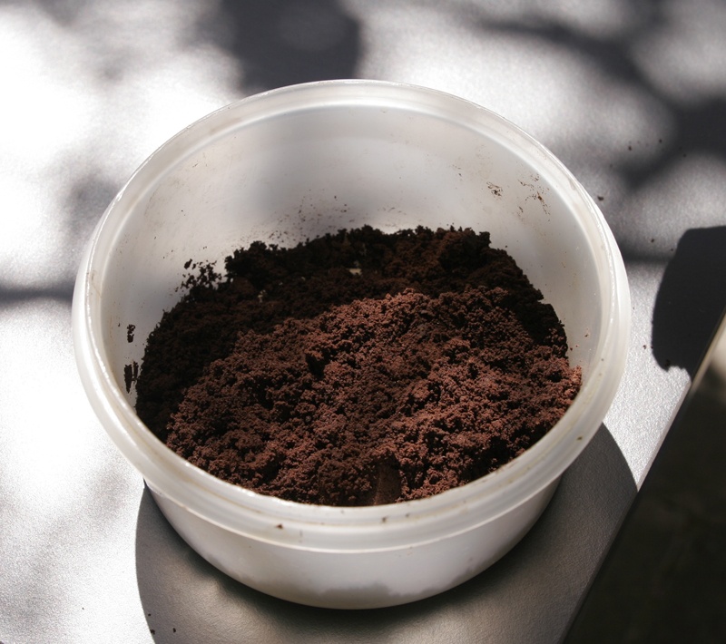 Utilice posos de café como fertilizante para las plantas.
