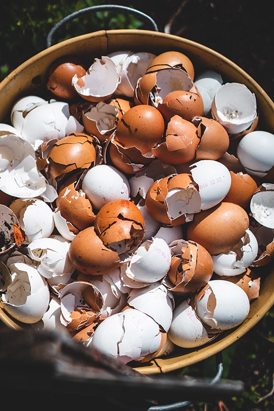 Cáscaras de huevo como fertilizante: aquí se explica cómo utilizarlas correctamente