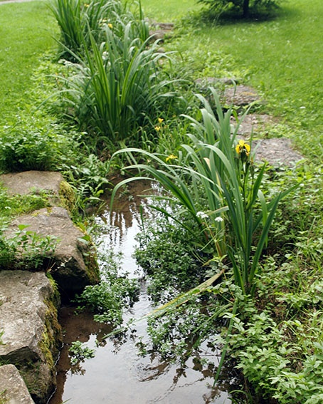 8 consejos para preparar el jardín para la sequía