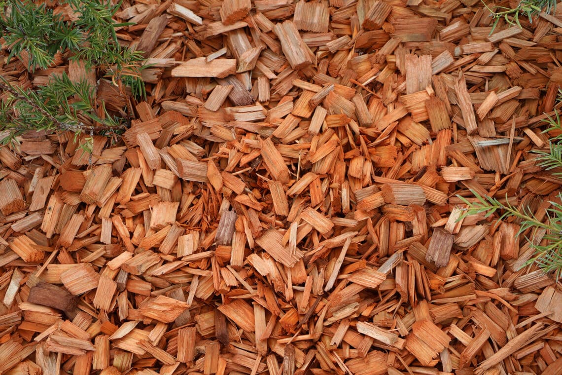 Astillas de madera en el jardín: todos los pros y los contras.
