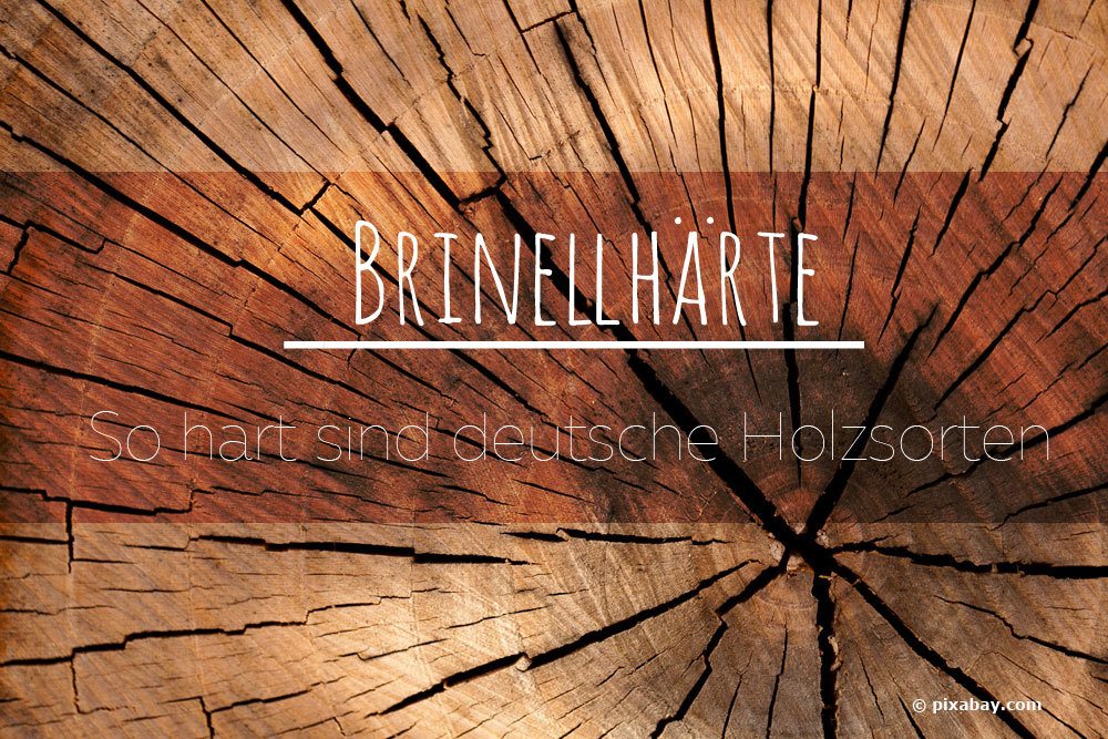 Dureza Brinell: la madera más dura de Alemania | Lista de dureza de la madera