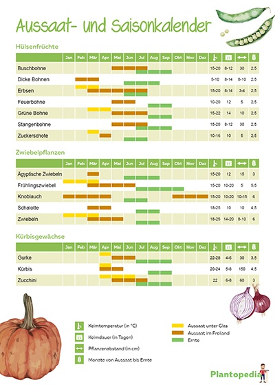 Calendario de siembra 2024 - calendario de siembra de hortalizas