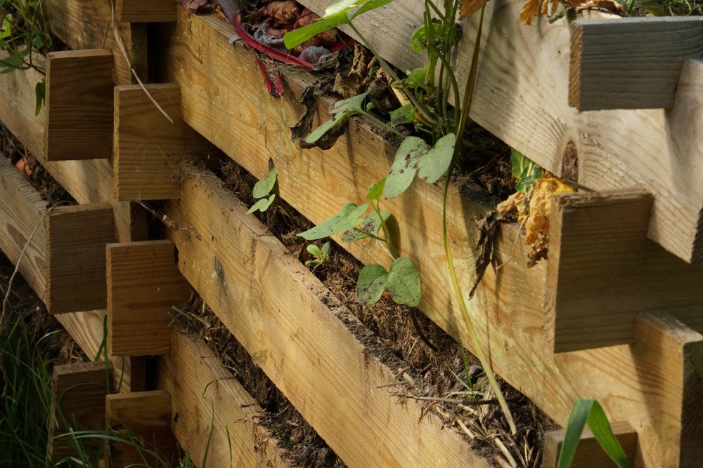 Desechar el aserrín: 6 usos en el jardín