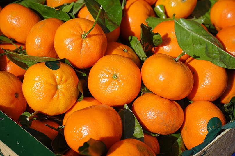 Diferencia entre clementina, mandarina y satsuma