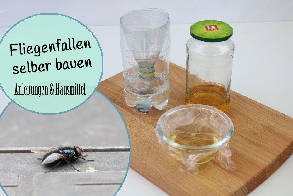 Construye tu propia trampa para moscas en 5 minutos | 9 remedios caseros naturales