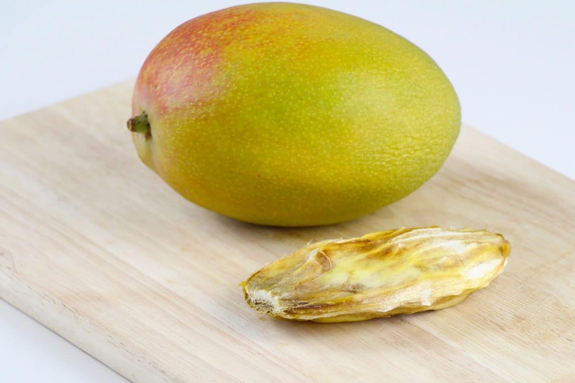 Germinar la semilla de mango en agua.