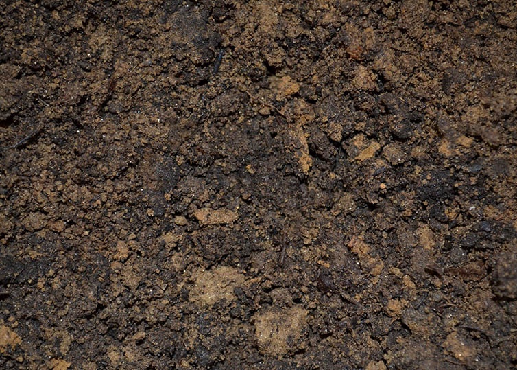 Tipos de suelo – ¿Qué tipo de suelo tengo en mi jardín?
