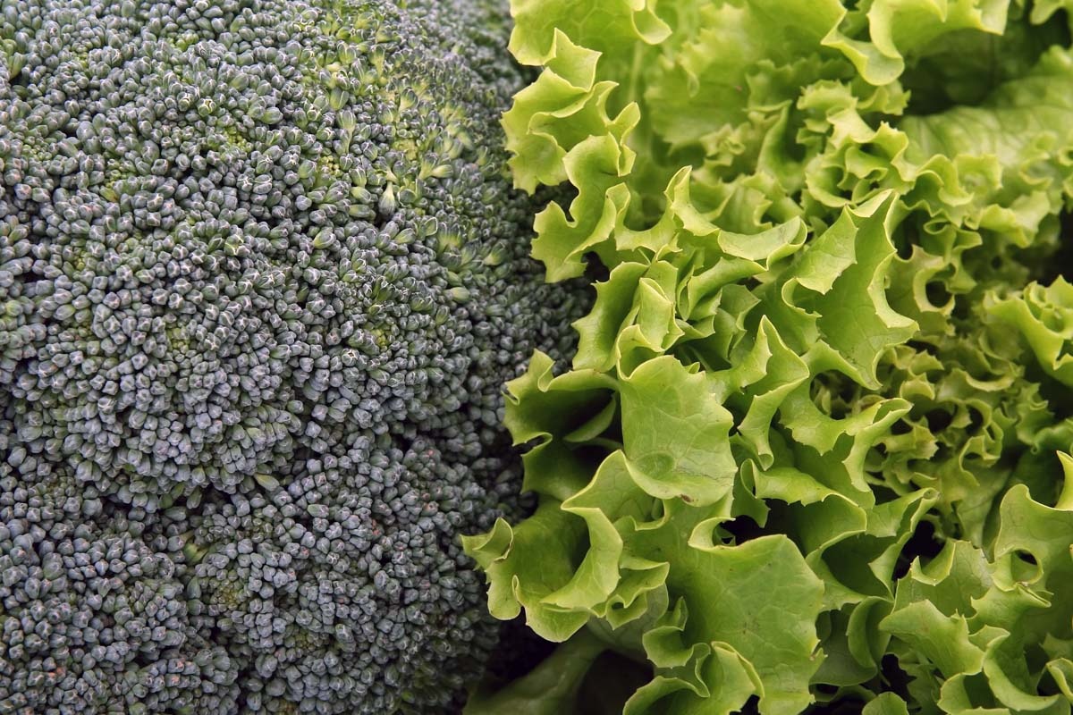 Cultura mixta: buenos vecinos para el brócoli