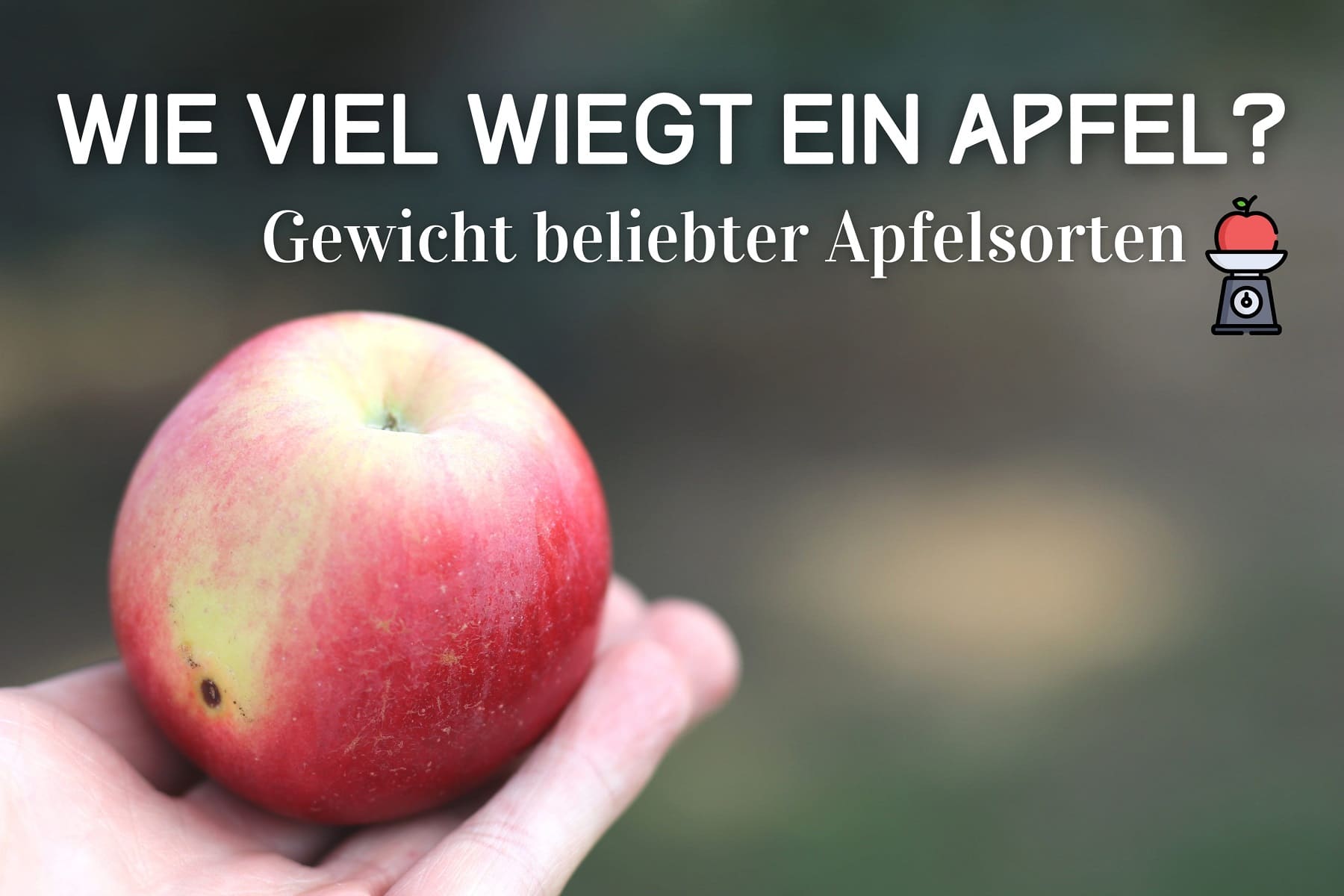 ¿Cuántos gramos pesa una manzana?
