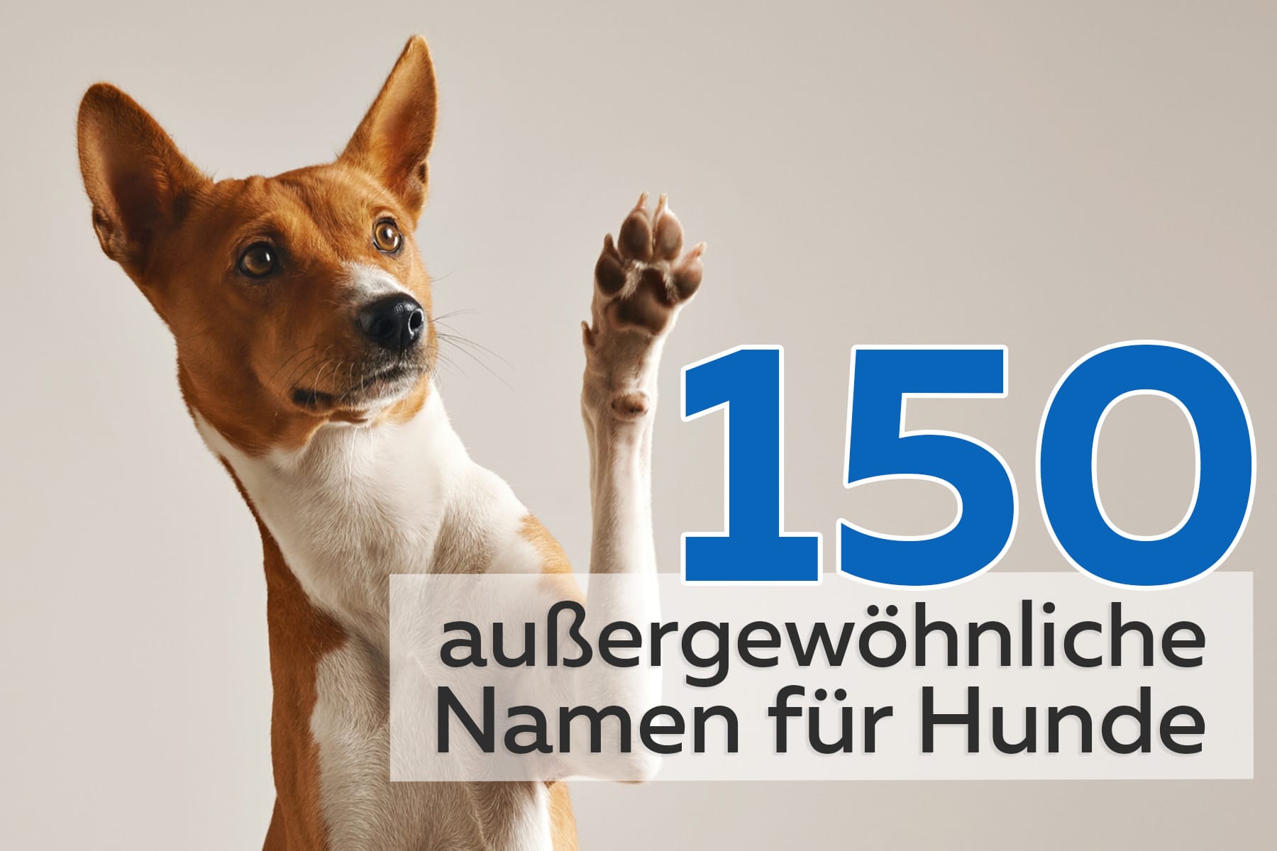 150 nombres de perros inusuales y raros