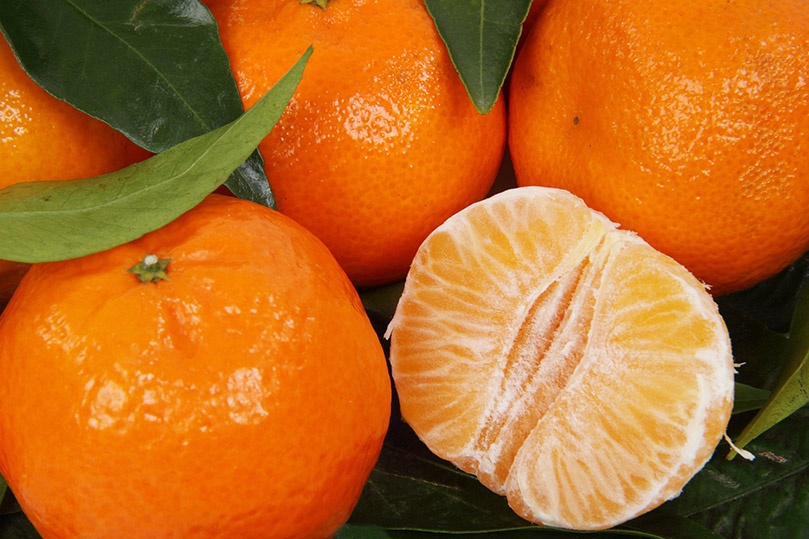 Diferencia entre clementina, mandarina y satsuma
