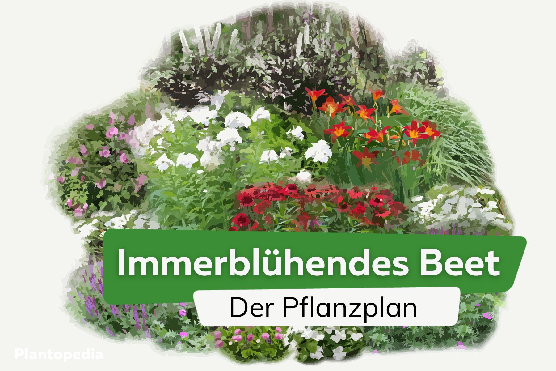 Plan de plantación de camas de flores perennes