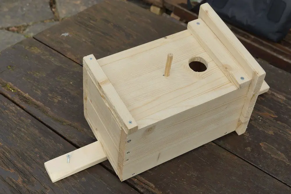 Colgar cajas nido: altura y dirección ideales para 17 especies de aves