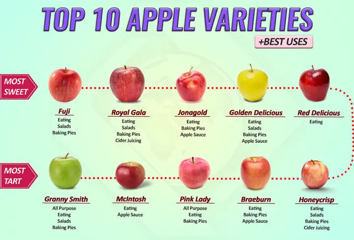 Variedades de manzana más populares |