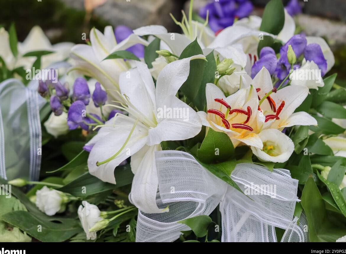 Lirios blancos graves en alta resolución fotografías e imágenes de stock - Alamy