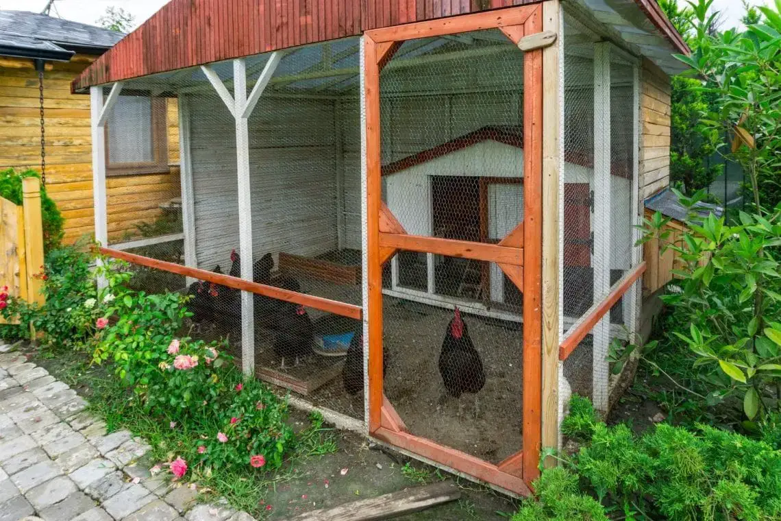 ¿Las martas o los mapaches cavan hoyos en el jardín?