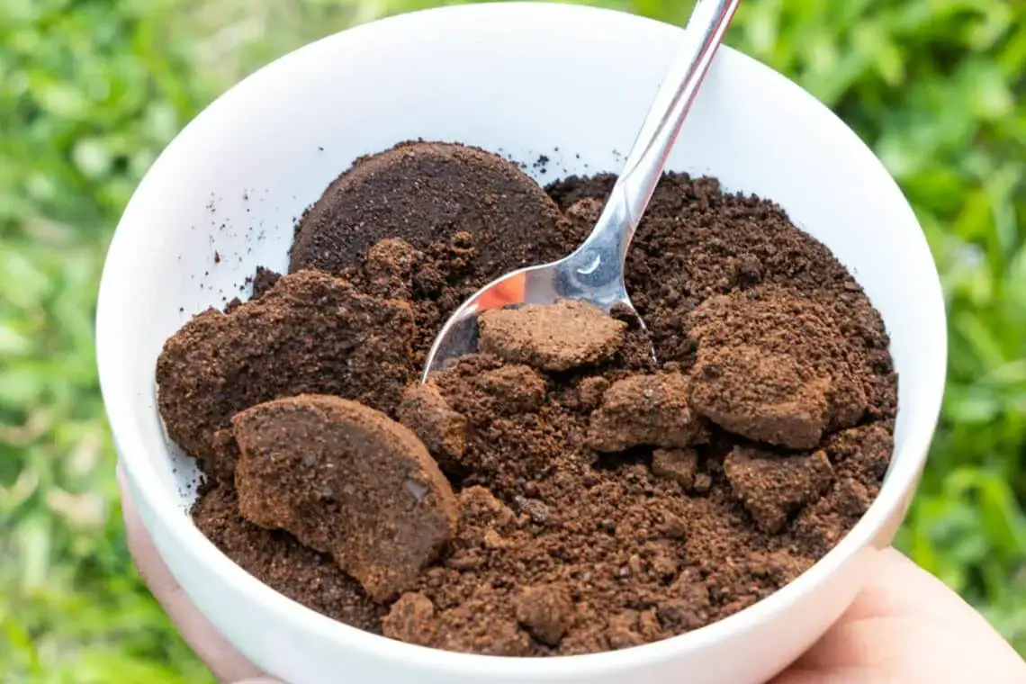 Fertilizar hortensias con posos de café.