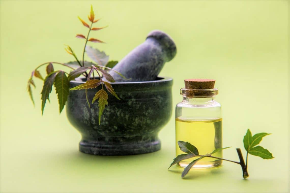 La albahaca tiene manchas blancas: ¿aún es comestible?