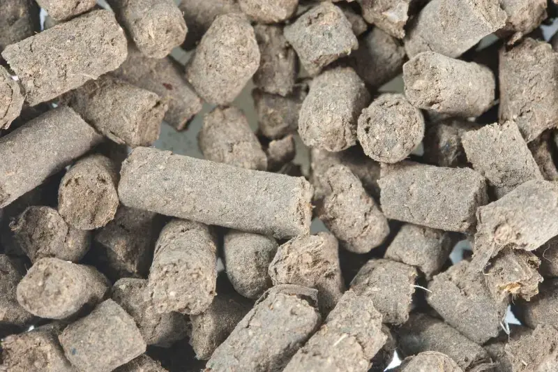 7 fertilizantes naturales para tomates y pepinos