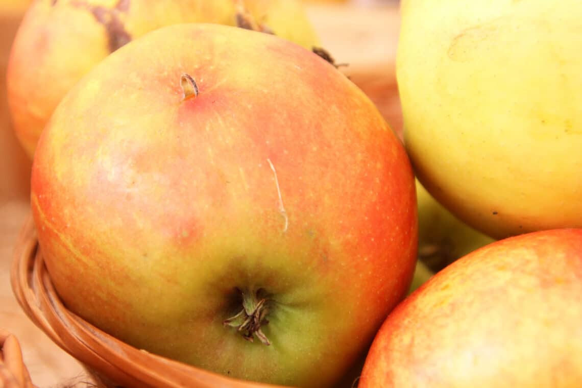 10 variedades de manzanas ácidas | Manzanas con mucho ácido