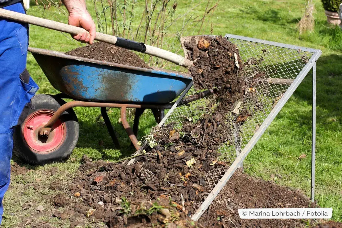 7 fertilizantes naturales para tomates y pepinos