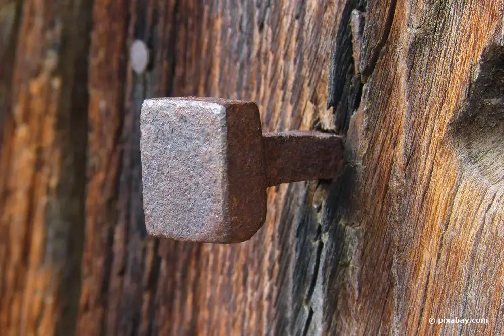 Clavo de cobre en el árbol: ¿Es eso posible? | Mata árboles no deseados
