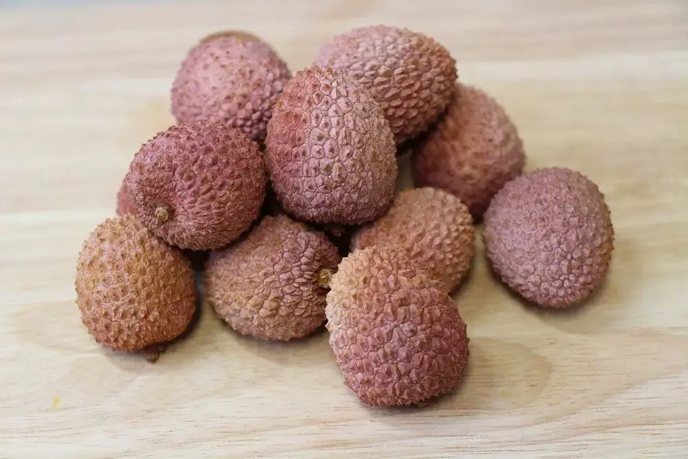 Cultivar un árbol de lichi: así es como cultivas tu propia planta de lichi