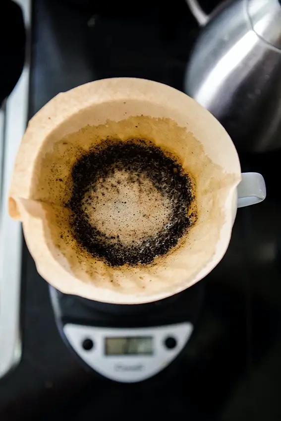 Fertilice los tomates con posos de café: esta es la forma correcta