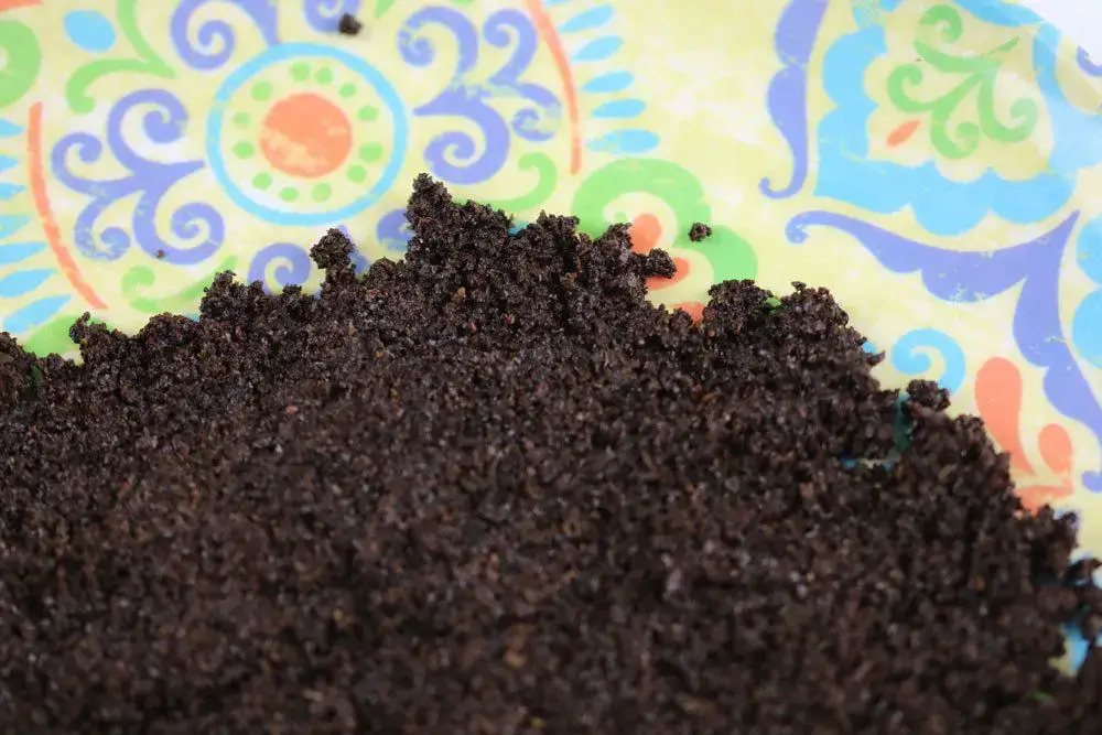 Fertilizar limoneros con posos de café: ¿sí o no? | 8 remedios caseros