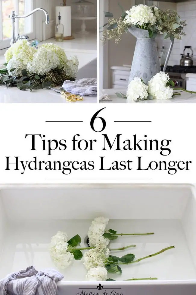 Seis consejos para hacer que las hortensias cortadas duren más