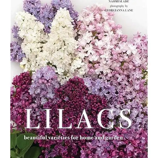 Lilas para el jardín: Bennett, Jennifer: 9781552975800: Amazon ...